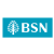 BSN