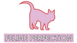 Feline Perfection