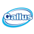Gallus