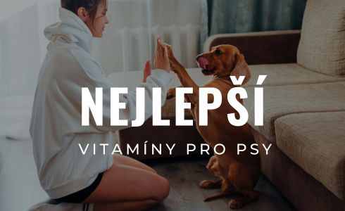 Nejlepší vitamíny a doplňky stravy pro psy: Recenze a porovnání