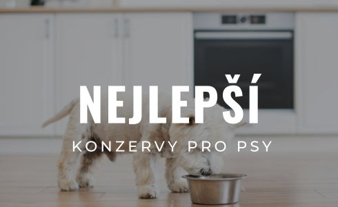 Nejlepší kvalitní konzervy pro psy: Recenze, hodnocení a rady