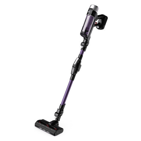 Rowenta RH2039WO X-Force Flex 9.60 3v1 Allergy Auto