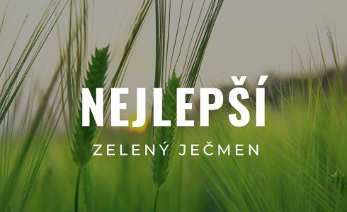 Nejlepší zelený ječmen 2025: Recenze, účinky, dávkování a zkušenosti