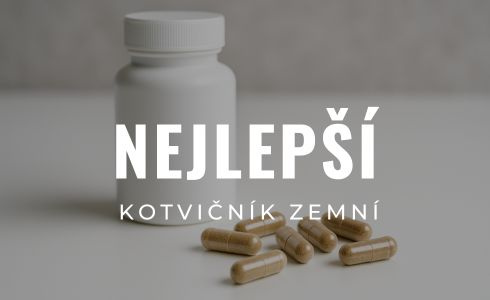 Nejlepší tribulus (kotvičník zemní) 2025: Recenze + srovnání TOP doplňků