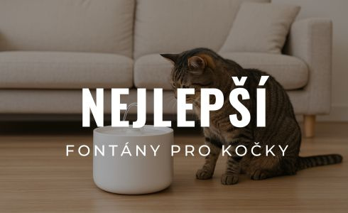 Nejlepší fontány pro kočky 2026: Recenze, test a srovnání