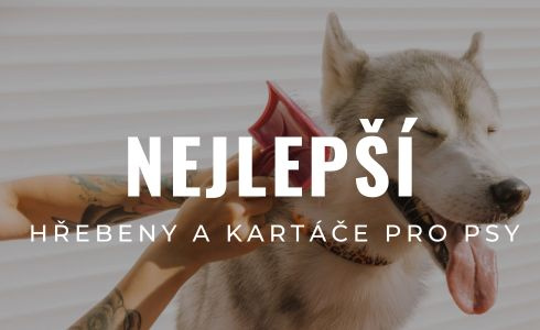 Nejlepší kartáče a hřebeny pro psy 2026: Recenze a výběr