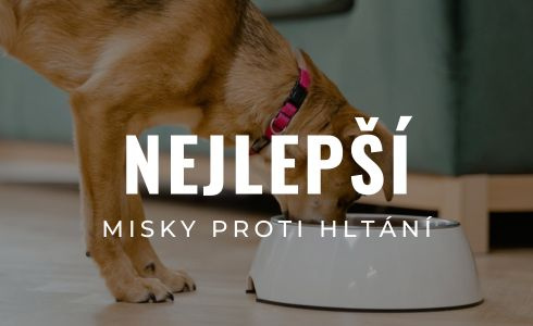 Nejlepší misky proti hltání a lízací podložky 2026: Recenze a testování