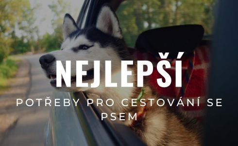 Nejlepší potřeby pro cestování se psem: Recenze a test doplňků