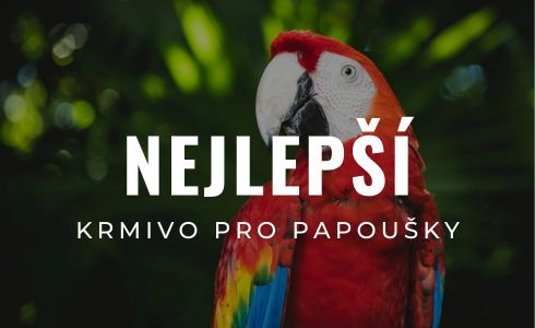 Nejlepší krmivo pro papoušky 2026: Recenze a test směsí pro velké druhy