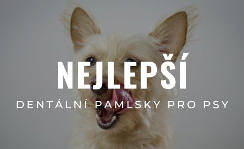 Nejlepší dentální pamlsky pro psy 2026: Recenze Brit, Whimzees a Pedigree
