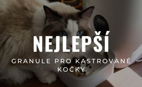 Nejlepší granule pro kastrované kočky 2026: Velké testování a recenze