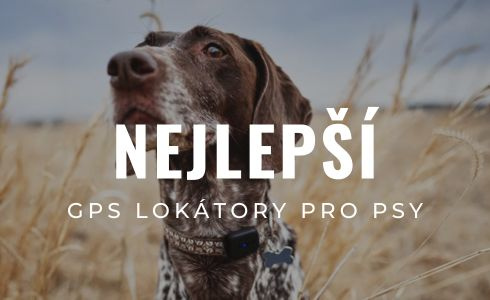 Nejlepší GPS lokátory pro psy 2026: Recenze a srovnání