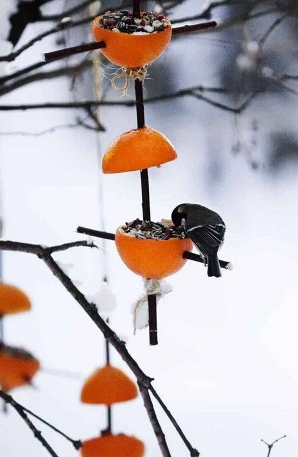 Krmítko pro ptáčky z pomerančové kůry
