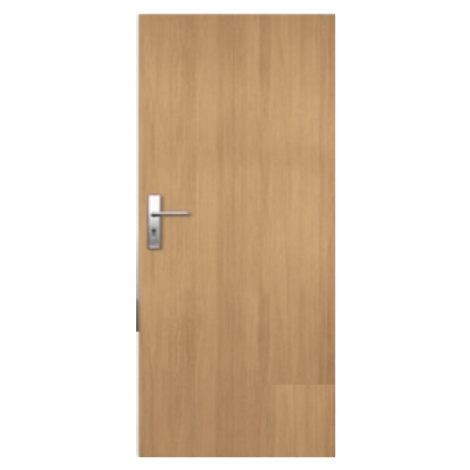 Vchodové dveře Naturel Entry levé 80 cm jilm ENTRYJ80L