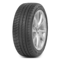 DAVANTI 205/55 R 17 95V WINTOURA+ TL M+S 3PMSF DAVANTI