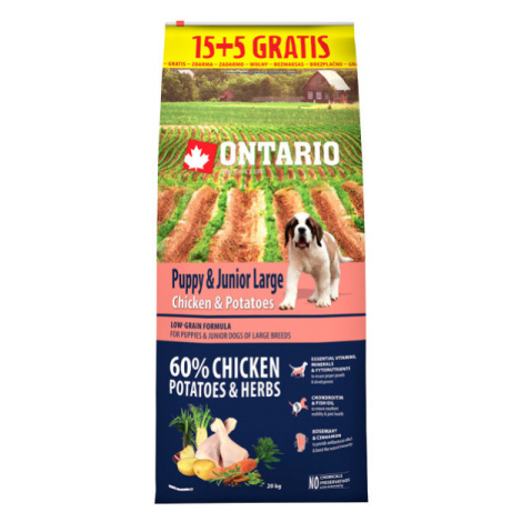 Ontario Puppy & Junior Large Chicken & Potatoes 15+5kg zdarma