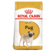 ROYAL CANIN Pug Adult 3 kg