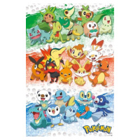 Plakát, Obraz - Pokemon - First Partners, (61 x 91.5 cm)