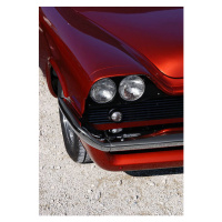 Ilustrace vibrant american muscle car, Fitzer, 26.7 × 40 cm