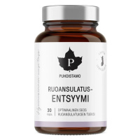 Puhdistamo Digestive Enzymes – Trávící enzymy 30 kapslí