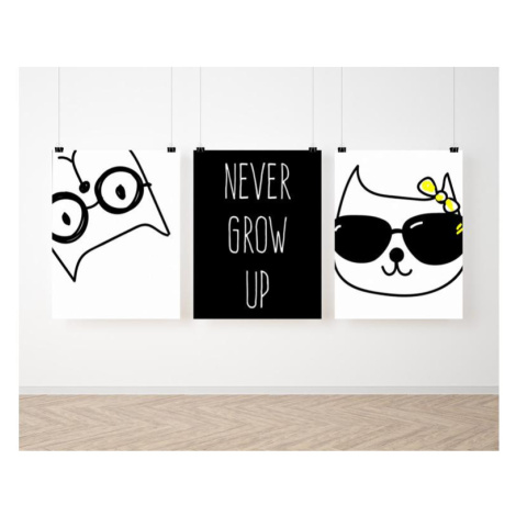 Černo bílá sada plakátů na zeď s kočičkami