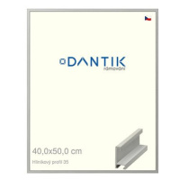 DANTIK rámeček 40 × 50, ALU profil 6035 Dýha barevný šedý sklo čiré