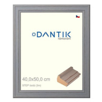 DANTIK rámeček 40 × 50, STEP šedý sklo čiré