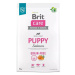 Brit Care Dog Grain-free s lososem Puppy 3 kg