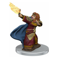 WizKids D&D Icons of the Realms Premium Figures: Female Dwarf Wizard