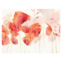 Ilustrace Modern poppies, Nel Talen, 40 × 30 cm