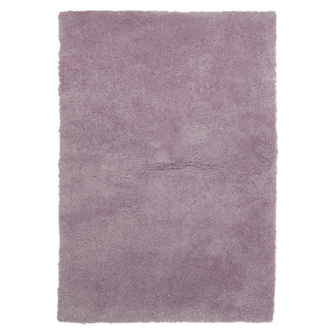 B-line  Kusový koberec Spring Lila - 160x230 cm