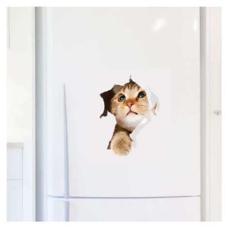 Samolepka Ambiance Cat in Hole