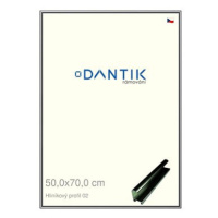 DANTIK rámeček 50 × 70, ALU profil 7002 Šedý leský plexi čiré