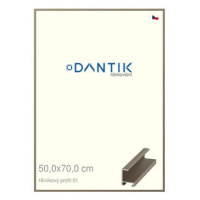 DANTIK rámeček 50 × 70, ALU profil 6001 champagne plexi čiré