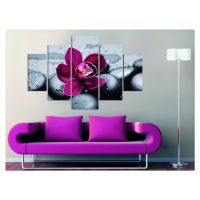Hanah Home Vícedílný obraz Pink Flower 92 x 56 cm