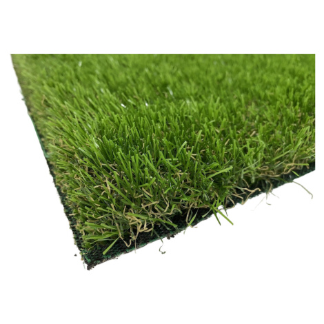 Lano - koberce a trávy AKCE: 50x800 cm Umělá tráva Rosemary metrážní - Rozměr na míru cm