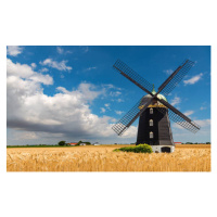 Fotografie Wheat windmill. Harvest concent. The Stock Photo., Agaten, 40 × 24.7 cm