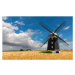 Fotografie Wheat windmill. Harvest concent. The Stock Photo., Agaten, 40 × 24.7 cm