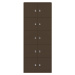 BISLEY LateralFile™ Lodge, s 10 uzamykatelnými boxy, výška vždy 375 mm, kávová