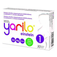 YARILO einstein 1 tob.30