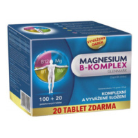 Magnesium B-komplex Glenmark tbl.100+20