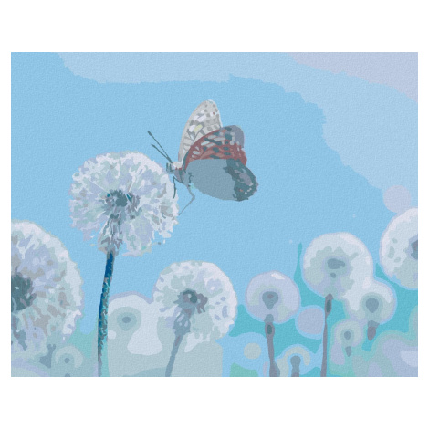 Zuty - Malování Podle Čísel - Bílé Pampelišky S Motýlem, 80X100 Cm, Plátno+Rám