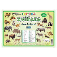 Exotická zvířata - Sada 24 karet - Petr Kupka