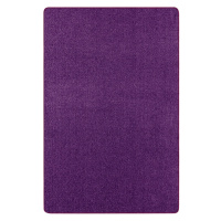 Hanse Home Collection koberce Kusový koberec Nasty 101150 Purple - 80x150 cm