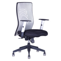 Kancelářská židle na kolečkách Office Pro CALYPSO XL BP - bez podhlavníku, více barev Světle šed