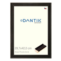 DANTIK rámeček 29,7 × 42, Grace Piccola černý plexi čiré