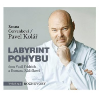 Labyrint pohybu