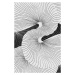 Ilustrace Shell, Leemo, 26.7x40 cm