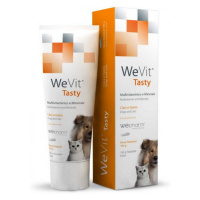 WEPHARM WeVit Tasty pro kočky a psy 100 g