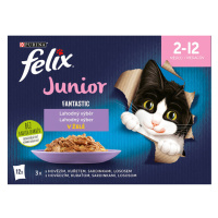 FELIX Fantastic Junior lahodný výběr 12 x 85g